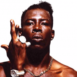 Shabba Ranks - Professional null Speaker
