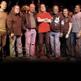 The Allman Brothers Band - Professional null Speaker