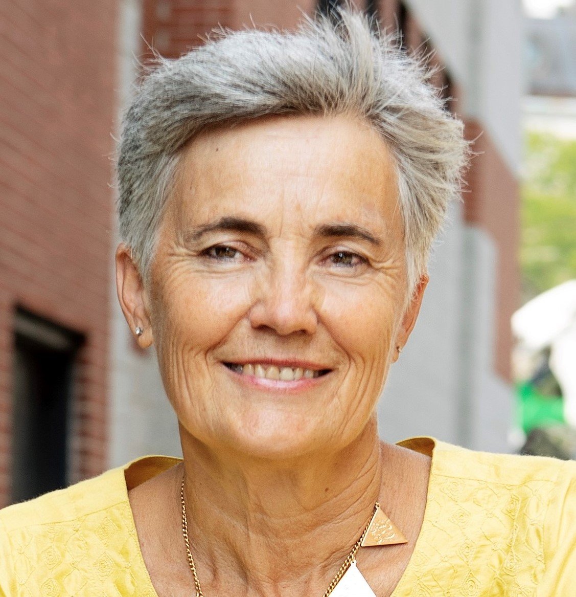 Robin Chase - Professional Speakers Booking