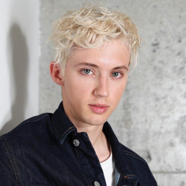 Troye Sivan - Professional null Speaker