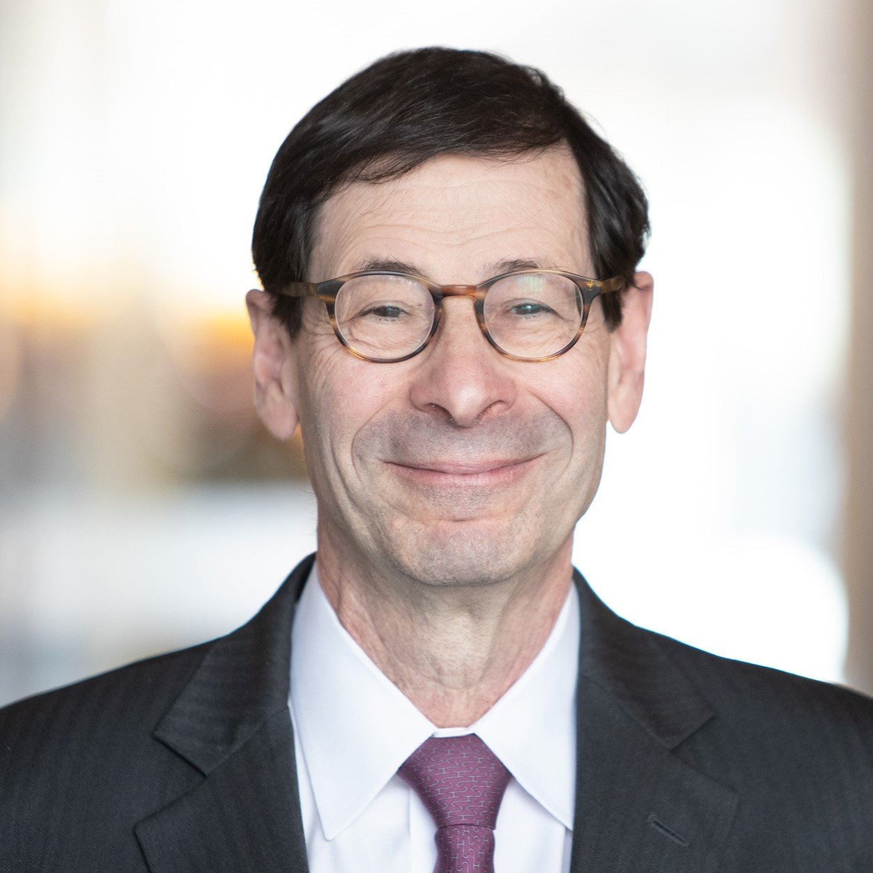 Maurice Obstfeld - Professional Speakers Booking