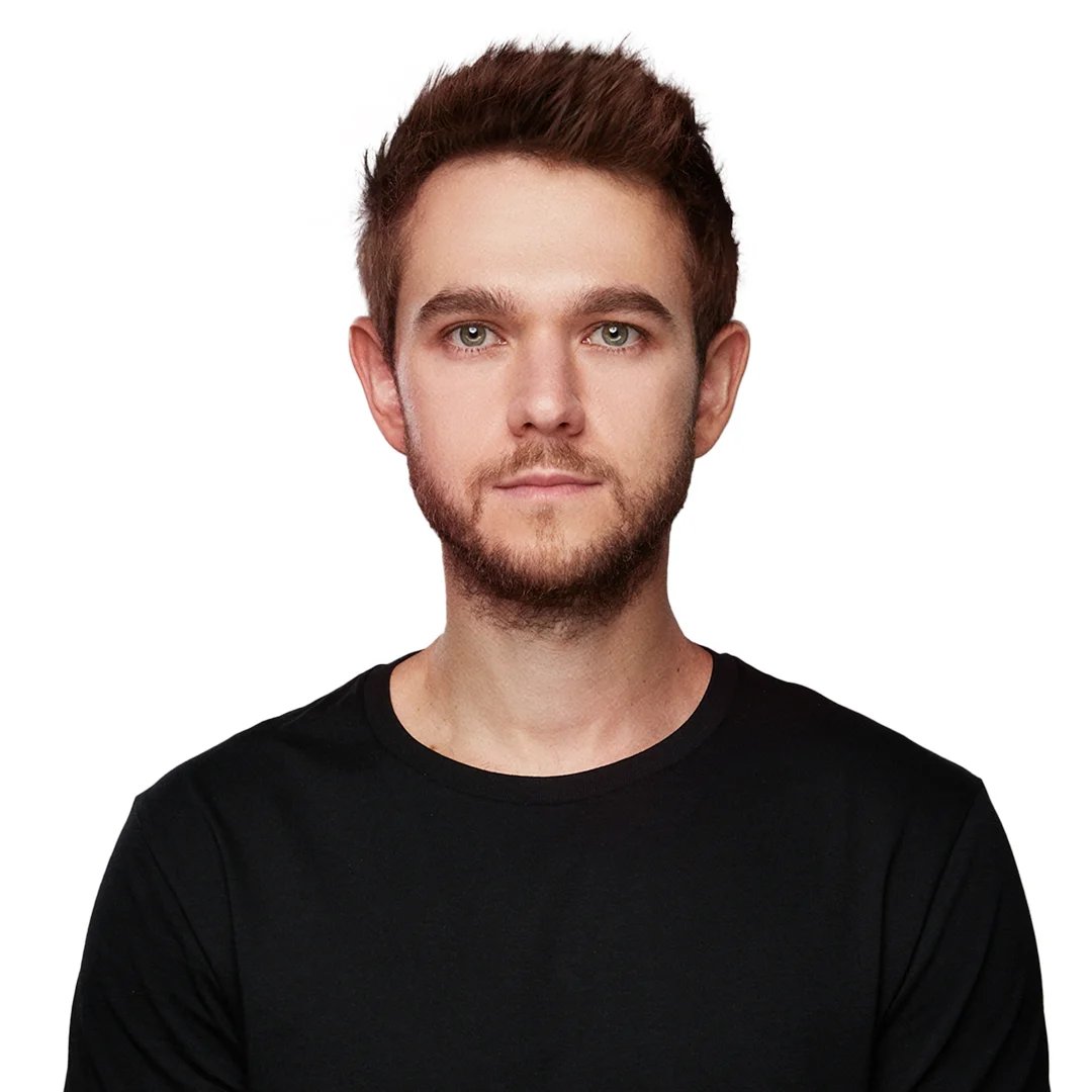 Zedd - Professional null Speaker