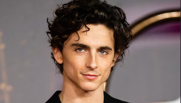 Timothée Chalamet - Professional null Speaker