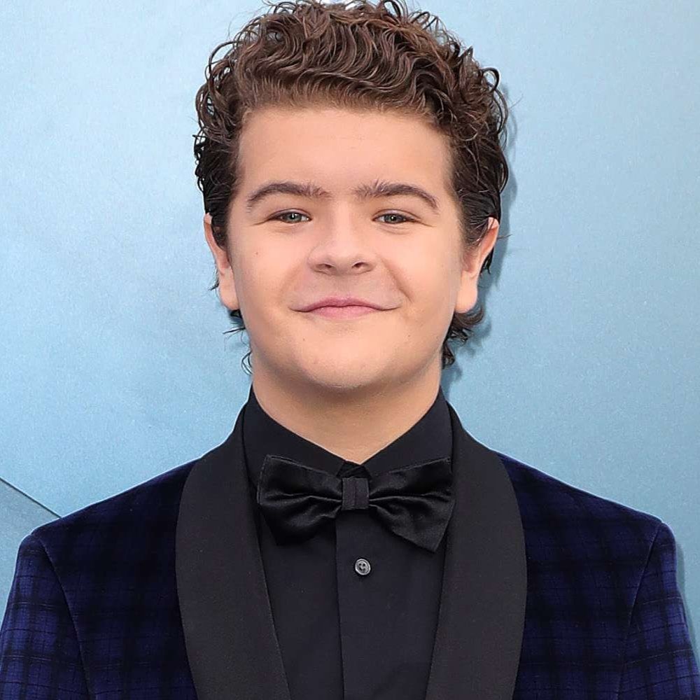 Gaten Matarazzo - Professional Speakers Booking