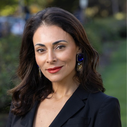 Sol Rashidi - Professional null Speaker