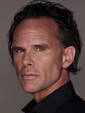 Walton Goggins - Professional null Speaker