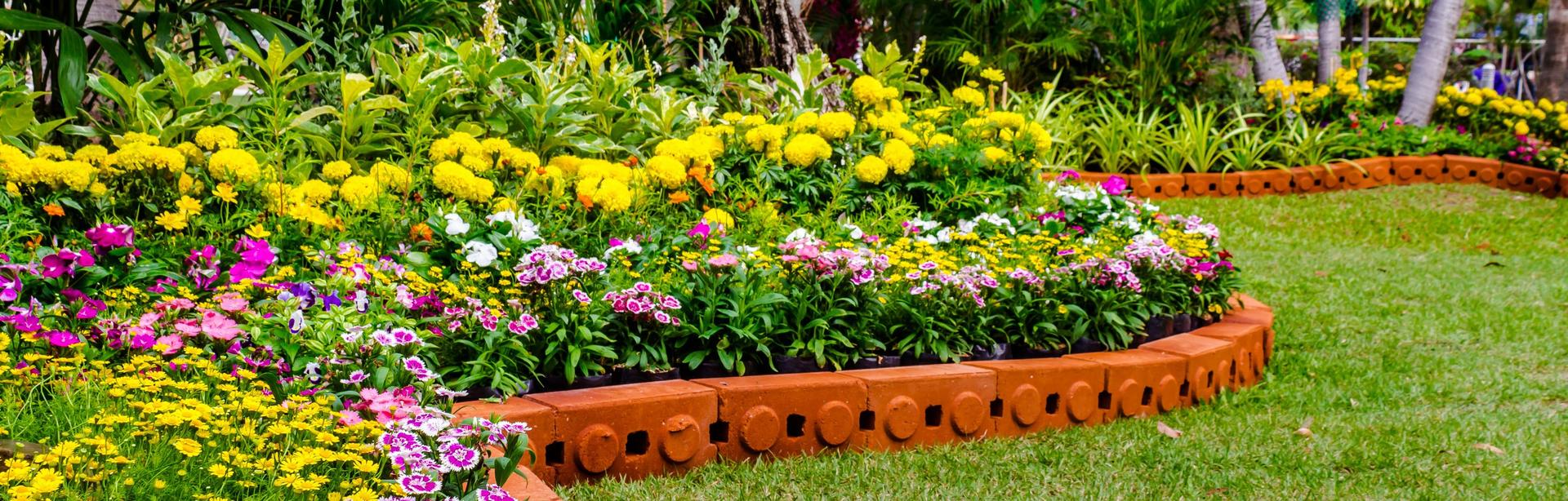 Top HGTV Personalities hero